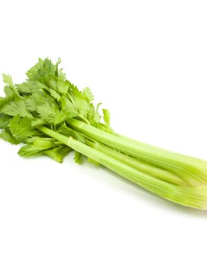 Sedano