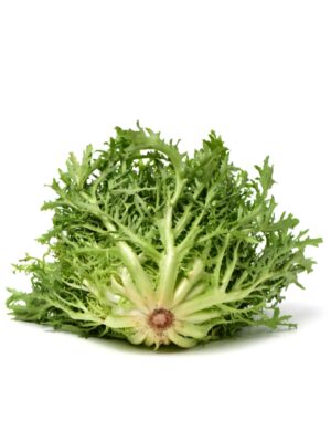 Scarola