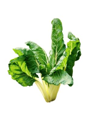 Bietola