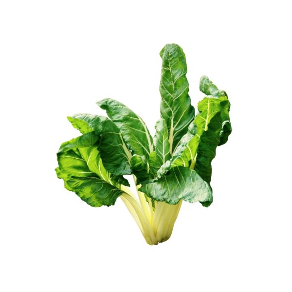 4 Bietola